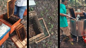 Promo madu kemasan 50 ml