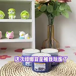 【SG STOCK 】roach Repellent Magic  roach Safe Non-toxic Repellent  roach Repellent Gel  驱蟑魔盒