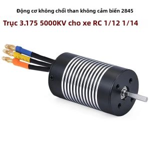 Động Cơ Không Chổi Than ROCKET 2845 Cho Xe RC 1/12 1/14 - 5000KV 3800KV 2600KV Với Trục 3.175mm Tương Thích Với Wltoys 12428 144001 MJX Hyper Go 14209 14210