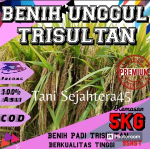Bibit padi unggul Trisultan kemasan 5kg promo