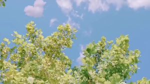 Mini Fan 10000mAh Type-c High Speed Turbo Handheld Fan Mini Portable Rechargeable Extra Long Life quick charge