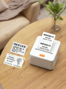 DTPrinter | High-Resolution 300dpi Handheld Bluetooth Thermal Label Printer