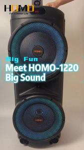 HOMO1220 Party Speaker Karaoke Set Wireless Microphones Remote Control Portable Sound System Dual 12.5 Inch