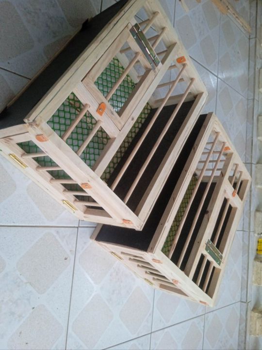 TRAINING BOX FOR PIGEON Lazada PH