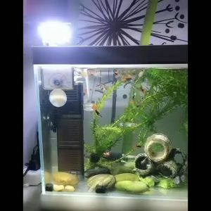 【DDC AQUA】Aquarium Light Jar Lamp White Light Portable Lights to Illuminate Fish Tanks LED Light Clip