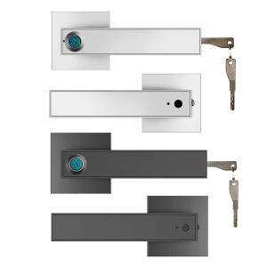 F180 Fingerprint Electronic Zinc Alloy Semiconductor Smart Handle Door Lock Key