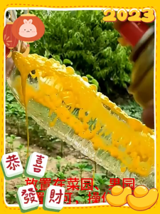 สเปรย์กาว 450 ml สารล่อแมลงวันทอง เมทิลยูจินอล ใช้เพียง 1 ครั้ง สามารถฆ่าแมลงหวี่ / แมลงวันทองได้ถึง 100000 ตัว ฉีดครั้งเดียว ล่อแมลงต่อเนื่อง 8 เดือน เหมาะสำหรับใช้งานในบ้าน / ครัว