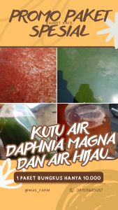 KμTμ 4lR D4₱HlN4 M4GN4 D4N 4IR HlJ4μ Makanan Ikan Hias Cupang Guppy Molly DLL