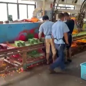 OXO 6.3cm Spray Paint Foam Sponge & PU Ball Foot Basketable Nets