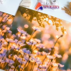 HIASAN DINDING SET AESTHETIK FIELD ISI 4 (105 A) KAMAR DEKORASI RUMAH WALL DECOR PAJANGAN DINDING SATU SET FLOWERS AND FIELD