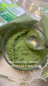 Greenola Organic Barley Grass Powder (Bulk) 10 kgs Granola Bar Green Barley - Lazada