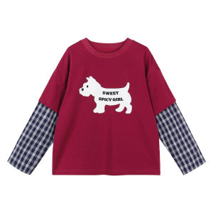 Fashionable Long Sleeve Childrens T-Shirt for Girls NorNor Chen DaZhu Kids Clothing Spring Autumn Wear Versatile Single-Piece Top
