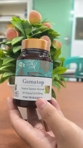 Gamatop Kapsul Gamat Emas Ekstrak Asli – Suplemen Herbal Penambah Zat Gizi 60 Kapsul BPOM