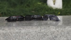 ROCKBROS Photochromic Sunglasses Cycling Eyewear Lightweight Bike Sunglasses Myopia Frame MTB Mountain UV400 Bicycle Goggles Accessories