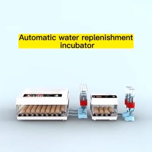 Egg Incubator Automatic Thermostatic Chicken Hatching Machine Penetas Telur Ayam Itik Inkubator Pengeram Automatik 孵化器