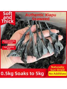 Premium Dried Kelp
