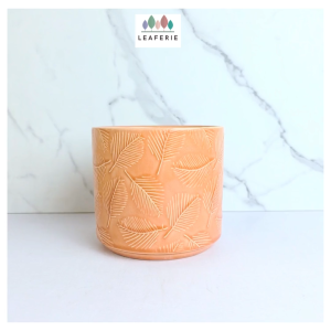 The Leaferie Azelle plant pots Ceramic flowerpot flowerpots flower pot planter planters