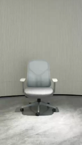 Ergoseat - Balloon Ergonomic Office Chair Mid Back Mesh Backrest Height Adjustable Comfort for Long Hour Use