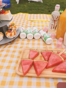 Tikar Piknik Tebal & Tikar Lipat Ukuran 150x200cm