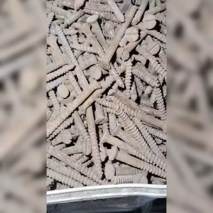 per 10 biji sekrup tidak pernah dipakai tapi berkarat 1 1/4" 2" 2 1/2" skrup karat 1.25 2 2.5 inch 1 1/4 2 2 1/2 in sip