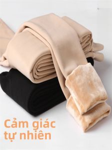 SHIPAILUO | Quần lót mùa thu dày dặn quần lót mỏng quần lót cotton quần lót nylon quần lót mùa thu quần lót mùa đông quần lót cotton dày