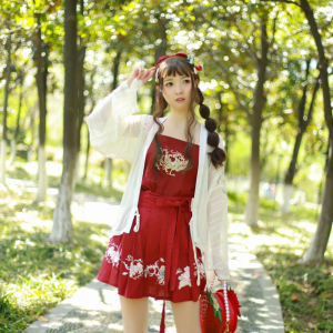 Original Design Short Skirt with Embroidery Han Elements Womens Fashion A-Line Pleated Skirt by NanShan Taste Traditional Chinese Clothing