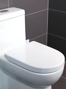 Portable Bidet Bath Tub Basin for Pregnant Women Elderly Postpartum Hemorrhoids Patient Toilet Bath Tub Basin痔疮孕妇术后恢复