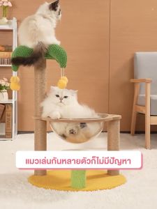 รูปแบบใหม่ กรอบปีนแมว คอนโดแมว เสาลับเล็บแมวได้ แคปซูลอวกาศ มัลติฟังก์ชั่น ของเล่นแมว ทนต่อการขีดข่วน