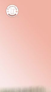 Single Wooden Hay Rack /Rak Kayu Rumput Untuk Kelinci Gp DLL