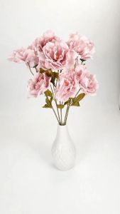 Bunga Mutan Tangkai Panjang & Dekorasi Ruangan