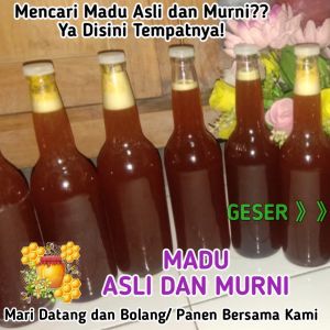 Madu Asli Murni Tanpa Olahan Raw Honey Aptiari