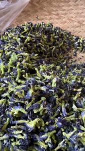 💥อัญชันแห้ง 100-500 กรัม 💙เกรดA คัดพิเศษ เก็บใหม่ทุกวัน ส่งตรงจากสวน จ.ศรีสะเกษ