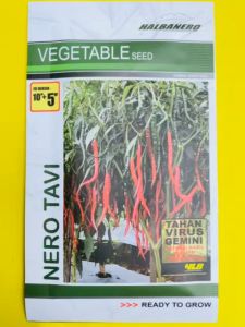 Benih cabai / cabe keriting NERO TAVI Tahan Virus Gemini dari HALBANERO. Isi 10gram MANTAB