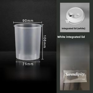 Popular 500ml Disposable Fat Cup with Lid for Coffee And Cold Drinks Leakproof Matte Finish Carry Cup Straight Male Design