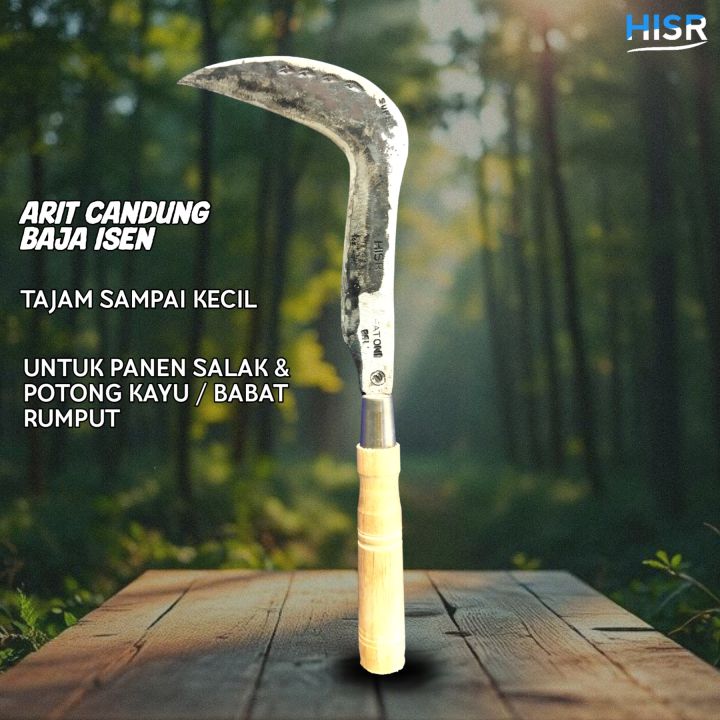 Saki seks sanatoriysi