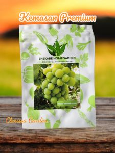 (KEMASAN PREMIUM) BIJI/BENIH TANAMAN ANGGUR SUNSHINE MUSCAT (isi 10 butir)