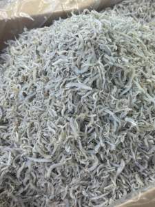 【Ready Stock】Ikan Bilis Nasi Susu 3A-brand 500g/1kg