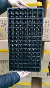 🔥 ส่งไว 🔥 ถาดเพาะชำ ถาดเพาะกล้า 105 หลุม ใช้ซ้ำได้ เหมาะสำหรับเรือนกระจก โรงเรือน และการทำสวนในบ้าน วัสดุหนาแน่นเป็นมิตรต่อสิ่งแวดล้อม วางซ้อนประหยัดพื้นที่ ถาดเพาะกล้า ถาดเพาะเมล็ด ถาดเพาะชำ ถาดเพาะต้นอ่อน ถาดเพาะปลูกผัก