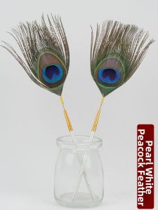 Peacock Feather Ear Cleaning Tool