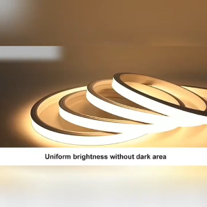 DQQI LED Strip Light Indoor Outdoor Waterproof Neon Lights Flexible Light Strip With Plug DIY Christmas DecorationLight