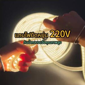 แถบไฟ LED สว่างสุด 220V ไม่มี Strobe สมาร์ทตกแต่งเพดานในครัวเรือน Dark Slot แถบไฟอุ่นแถบยาวกลางแจ้ง