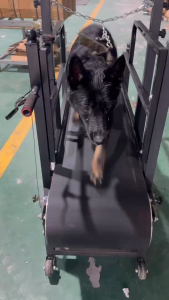 DOG AGILITY TRAINING TREADMILL FOR SMALL TO LARGE DOG