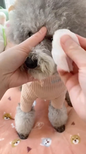 Eye Wipes ผ้าเช็ดตาและหู แผ่นเช็ดแมว แผ่นเช็ดตาสุนัขและแมว แผ่นเช็ดสุนัขและแมว ผ้าเช็ดทำความสะอาดเปียก แมว สุนัข 150แผ่น