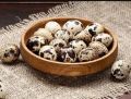 Telur Puyuh Konsumsi 500 gram. 