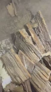 SHANJIA DTERMITE 100g Termite Killer  System Racun Anai Anai  White Ants Killer