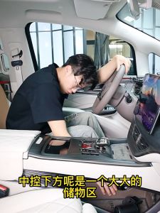 Harmonive Storage Organizers Compartment Box BYD Denza D9 (2024-Present)