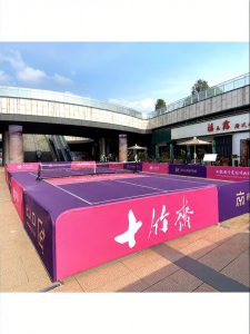 ALITE | Custom Content Sports Court Barrier for Pickleball Table Tennis