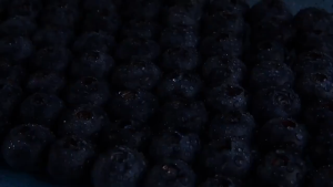 【New Stock】Premium Dried Blueberries Rich in Antioxidants & Vitamin C Healthy Vegan Snack 200g Pack