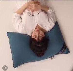 Authentic Hilton Pillow - High Quality Fiber Pillow - Buy 1 Take 1 - Perfect for a Good Nights Sleep-Christmas Gift