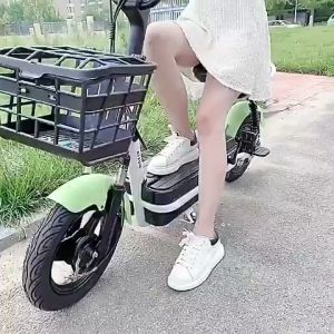 Motor Listrik Subsidi Pemerintah & Sepeda Listrik Eksotik